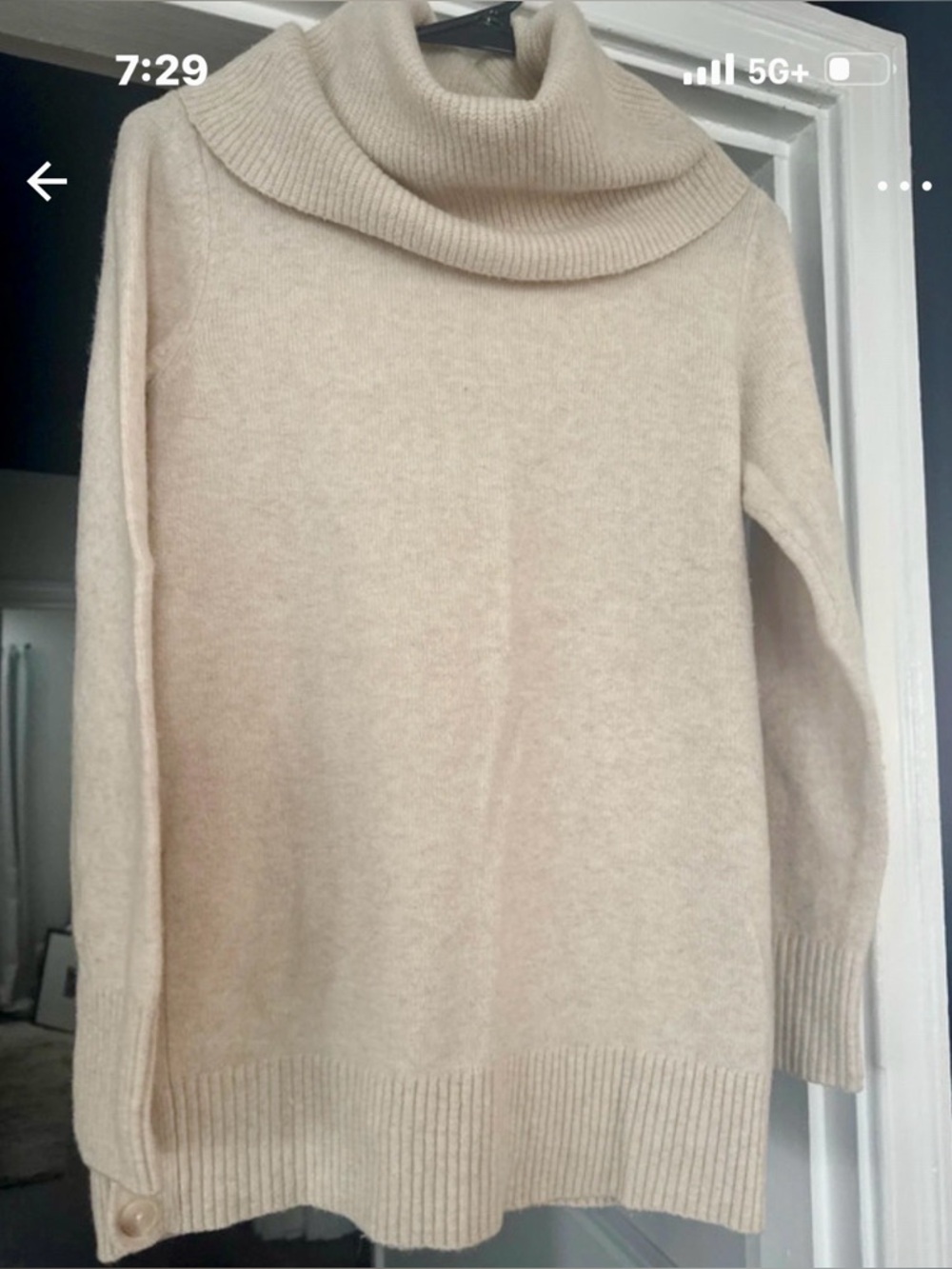 LOFT Cream Cowl Neck Turtleneck Sweater